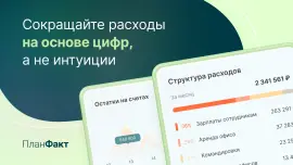 Деньги в бизнесе есть. А понимание — куда они уход