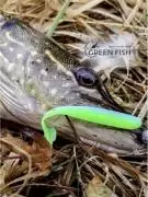 Ваши идеальные приманки GREEN FISH