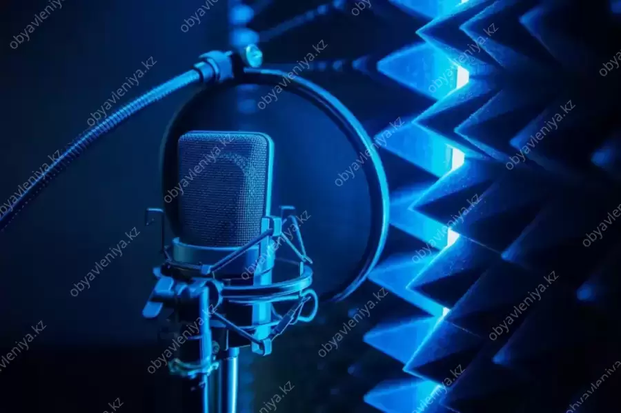 Дыбыс жазу студиясы, сапалы Достар!