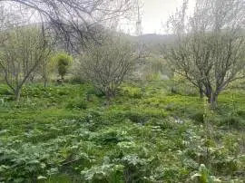 Продам участок в Иле-Алатауском национальном парке Продам участок в Иле-Алатауском национальном парке