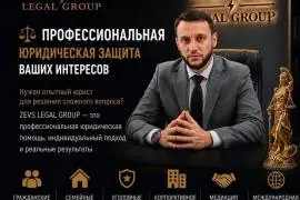Профессиональная юридическая защита Профессиональная юридическая защита
