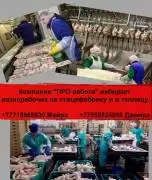 Компания ПРО работа ищет разнорабочих на работу