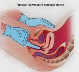 Практический курс: гинекологический массаж на живы