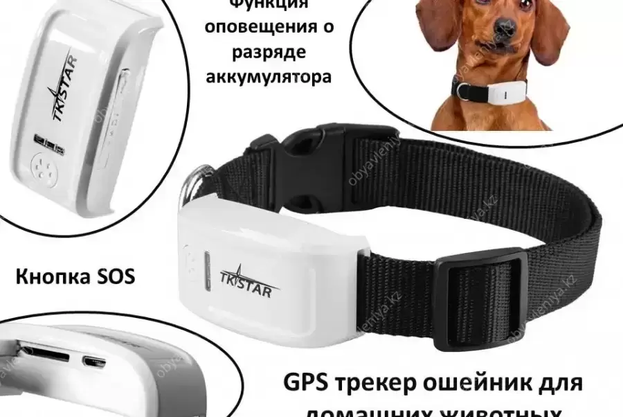 Продам GPS трекер ошейник для домашних животных