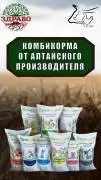 Комбикорм оптом от Алтайского производителя