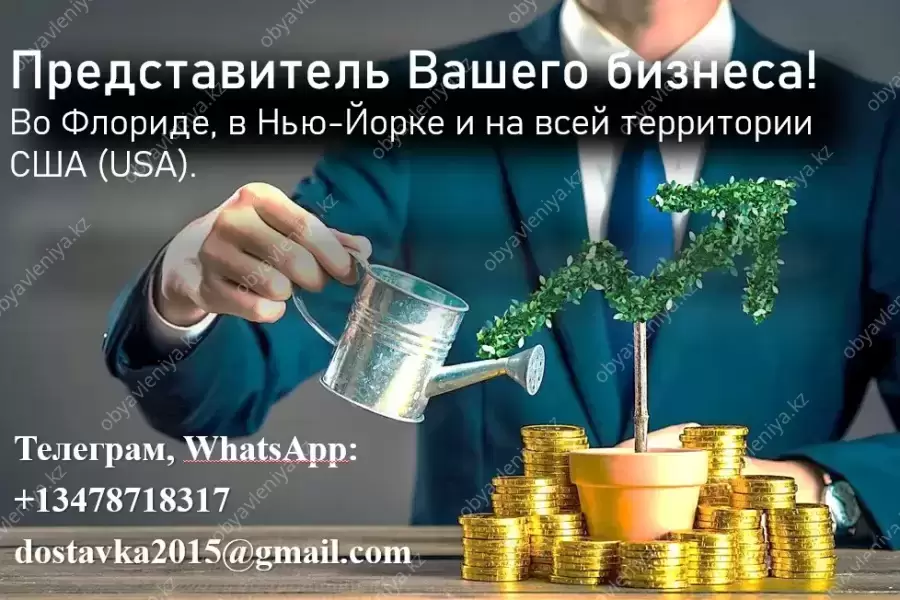 Представлю ваши интересы и бизнес в США (USA)